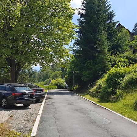 Villa Goldbrunnen Ferienwohnung 3 Bad Elster Zewnętrze zdjęcie