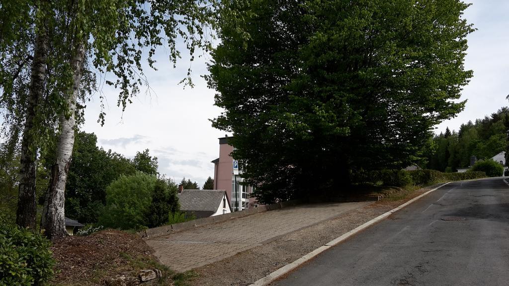 Villa Goldbrunnen Ferienwohnung 3 Bad Elster Zewnętrze zdjęcie