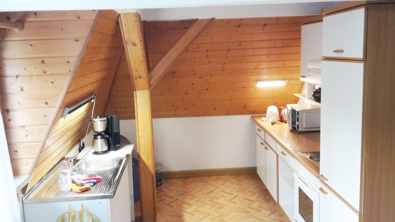 Villa Goldbrunnen Ferienwohnung 3 Bad Elster Zewnętrze zdjęcie